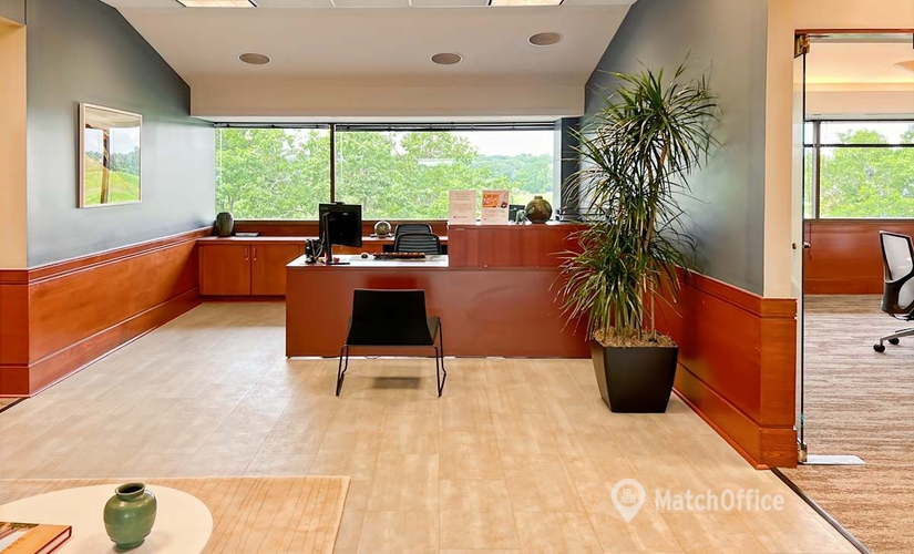 Virtual address in Ypsilanti, MI, 24 Frank Lloyd Wright Drive (48105) - 1 | MatchOffice.com