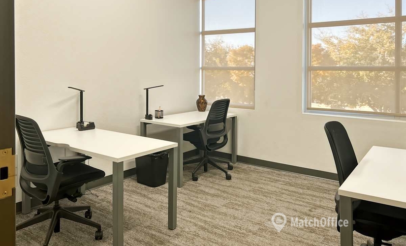10 m² Business space in Henderson, NV, 303 S Water St (89015) - 3 | MatchOffice.com