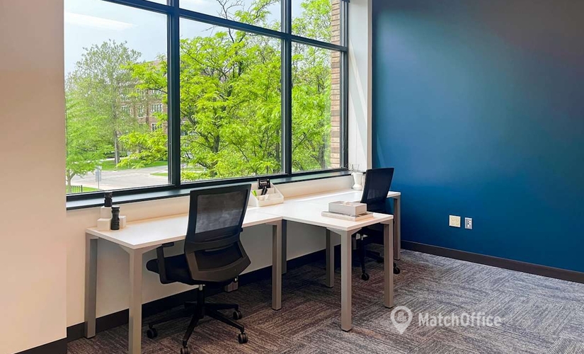 10 m² Business park in Lansing, MI, 325 E Grand River Avenue (48823) - 3 | MatchOffice.com