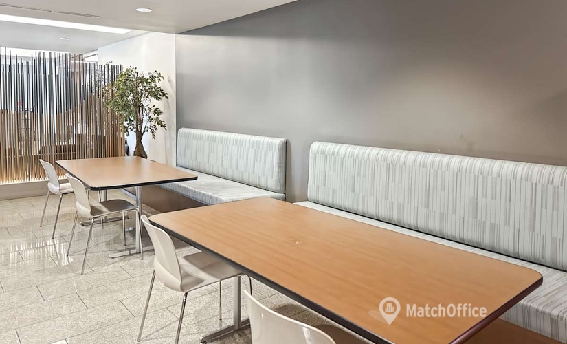 Virtual office space in Las Vegas, NV, 1980 Festival Plaza Drive Summerlin South (89135) - 4 | MatchOffice