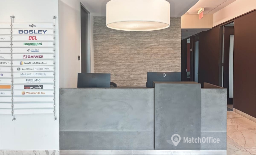 10 m² Coworking space  in The Woodlands, TX, 21 Waterway Avenue (77380) - 1 | MatchOffice