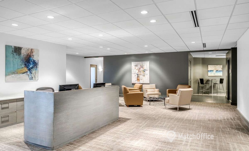 10 m² Business center in Baltimore, MD, 10451 Mill Run Circle (21117) - 4 | MatchOffice