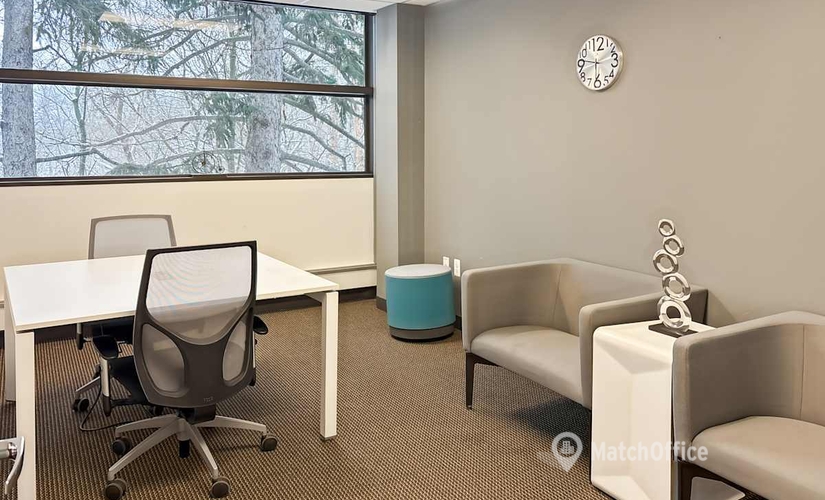 Virtual address in Troy, MI, 41000 Woodward Avenue (48304) - 4 | MatchOffice.com