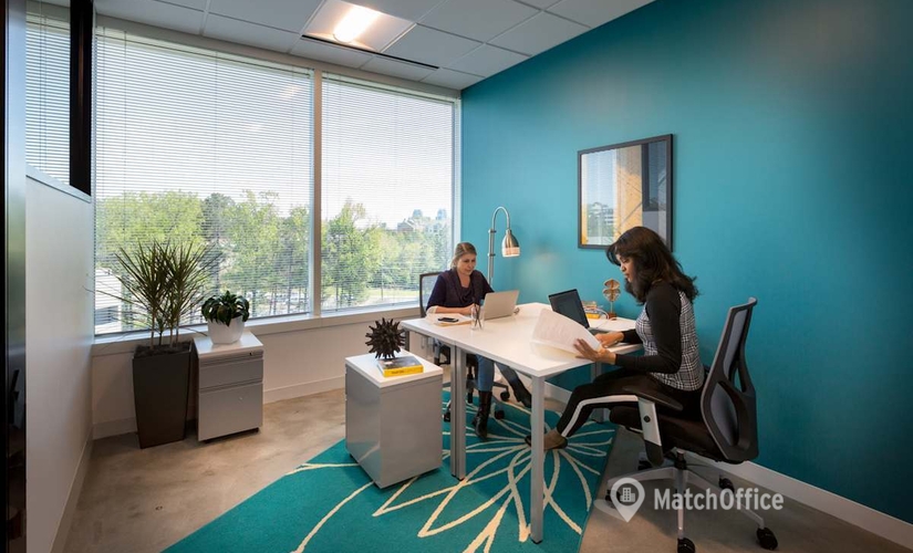 10 m² Coworking space in Atlanta Perimeter - North Central, GA, One Glenlake Parkway (30328) - 3 | MatchOffice