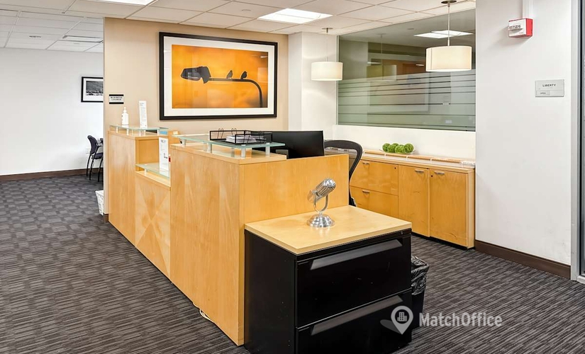 10 m² Shared office  in New York Financial District, NY, 100 Church Street (10007) - 1 | MatchOffice