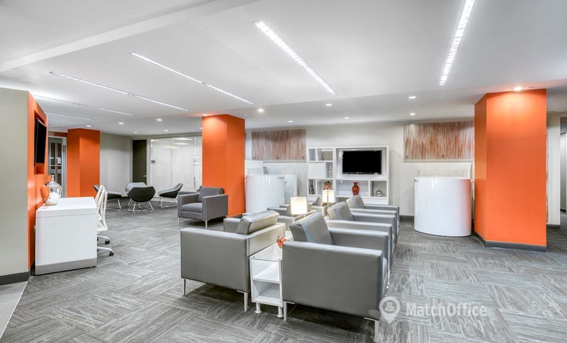 10 m² Co-working in New York Midtown East, NY, 477 Madison Avenue (10022) - 4 | MatchOffice.com