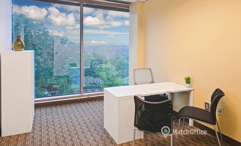 10 m² Coworking space in Duluth, GA, 2180 Satellite Boulevard (30097) - 3 | MatchOffice