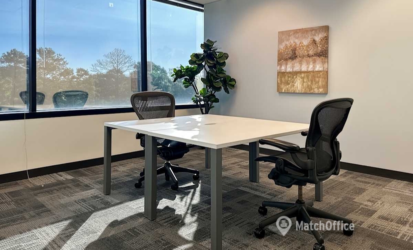 10 m² Business center in Richmond, VA, 6802 Paragon Place (23230) - 3 | MatchOffice