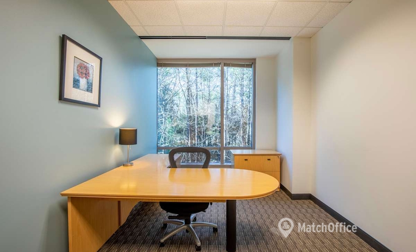 10 m² Business park in Atlanta Alpharetta - Johns Creek, GA, 555 Northpoint Center East (30022) - 3 | MatchOffice.com