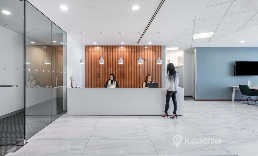 Virtual office space in Chicago O`Hare, IL, 8770 West Bryn Mawr Avenue (60631) - 1 | MatchOffice.com