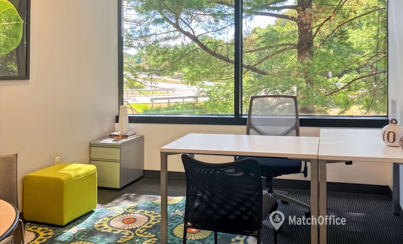 10 m² Shared office in Reston, VA, 12020 Sunrise Valley Drive (20191) - 4 | MatchOffice