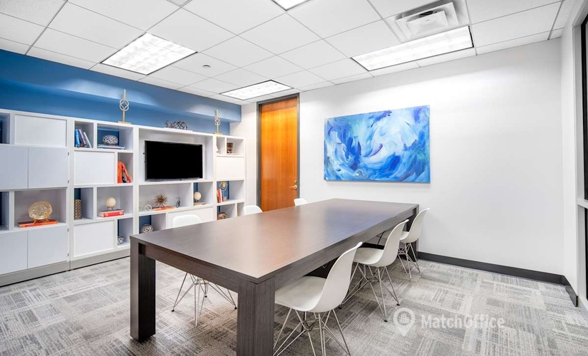 10 m² Coworking space  in Reston, VA, 11921 Freedom Drive (20190) - 4 | MatchOffice