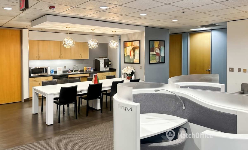 10 m² Co-working  in Southfield, MI, 2000 Town Center (48075) - 4 | MatchOffice