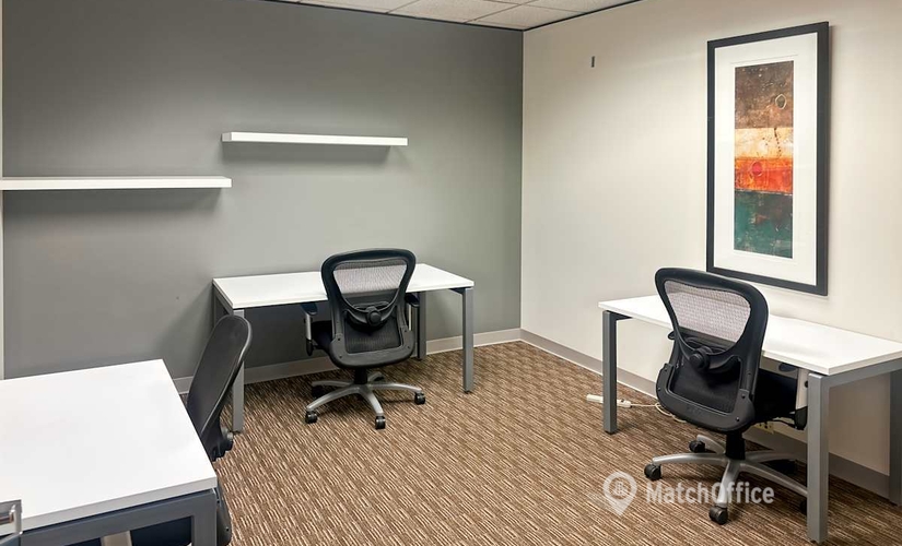 Virtual office space in Southfield, MI, 2000 Town Center (48075) - 3 | MatchOffice.com