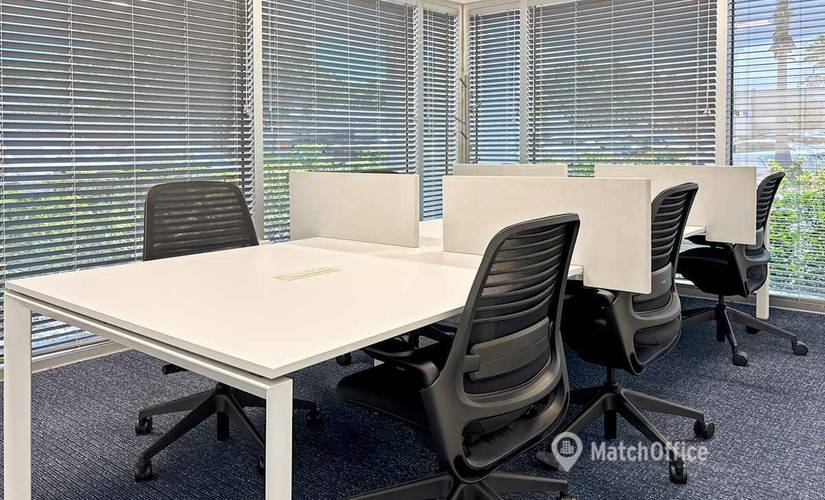 Meeting room in Clearwater, FL, 29399 US Highway 19 N (33761) - 4 | MatchOffice.com