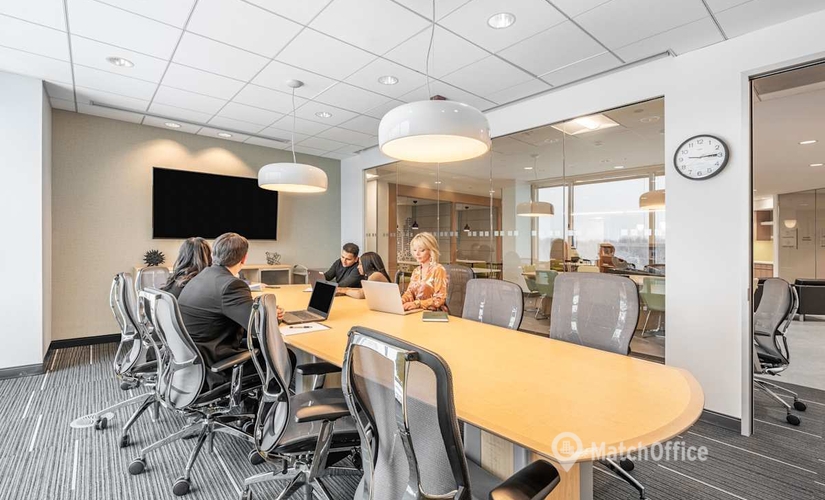  Conference space in Schaumburg, IL, 10 North Martingale Road (60173) - 10 | MatchOffice.com