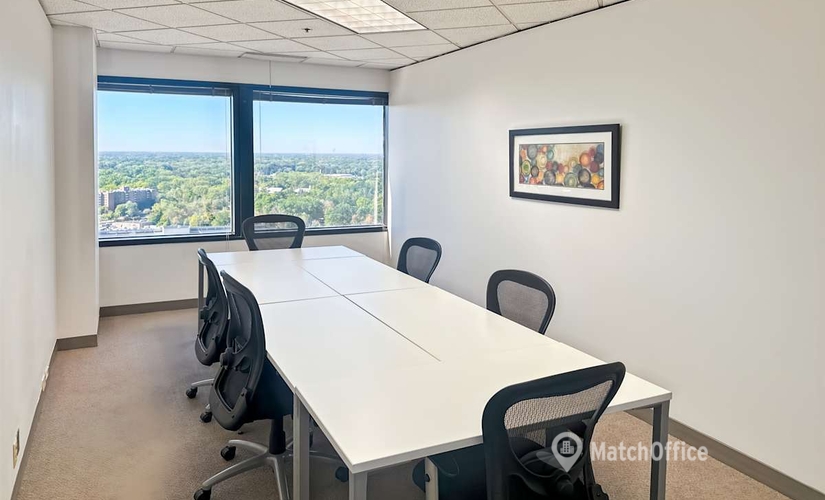  Conference hall in Southfield, MI, 2000 Town Center (48075) - 8 | MatchOffice.com