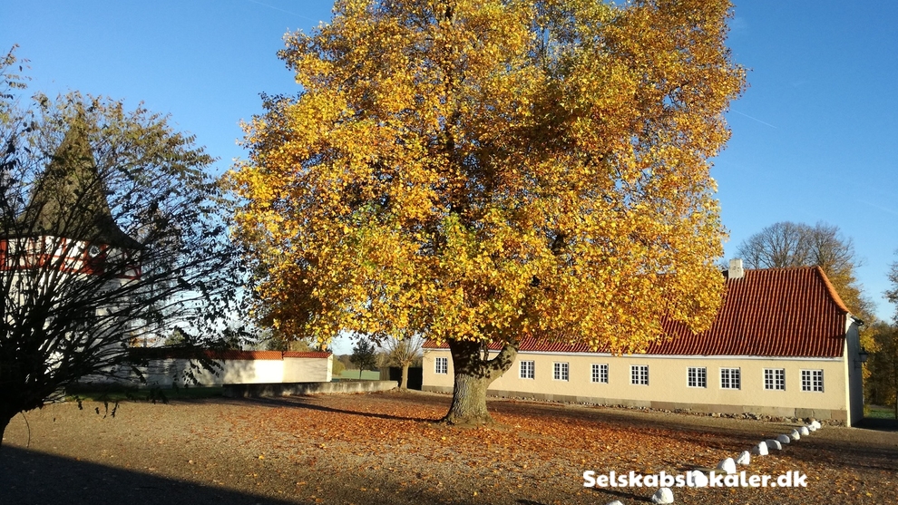 Kertemindevejen 23B, 5290 Marslev