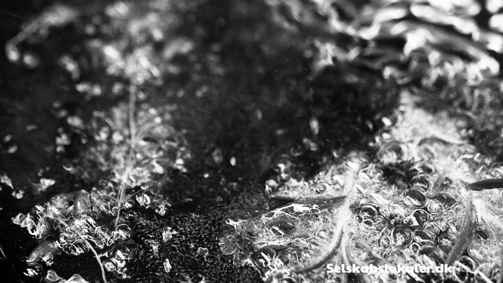 Hovedgaden 45, 4000 Roskilde