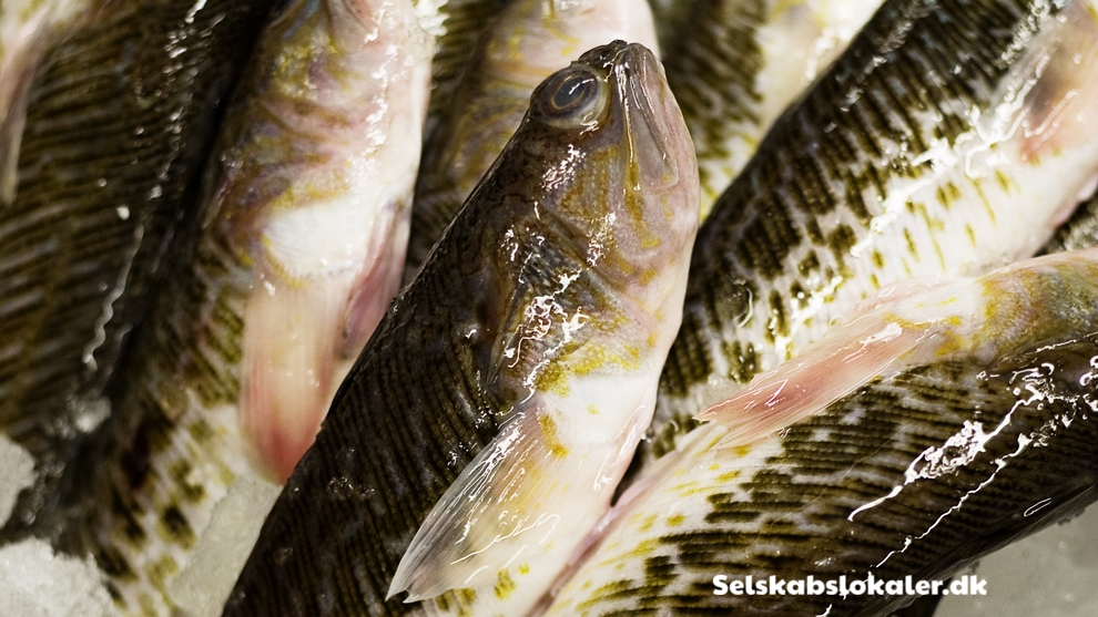 Hovedgaden 45, 4000 Roskilde