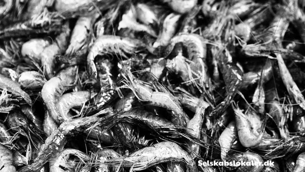 Hovedgaden 45, 4000 Roskilde