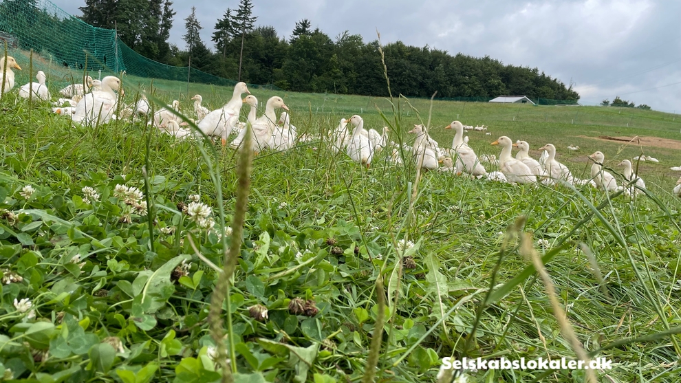 Gothenborgvej 3, 8653 Them