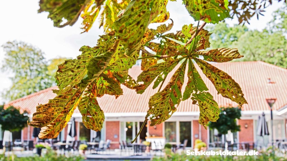 Svingelen 4, 4900 Nakskov