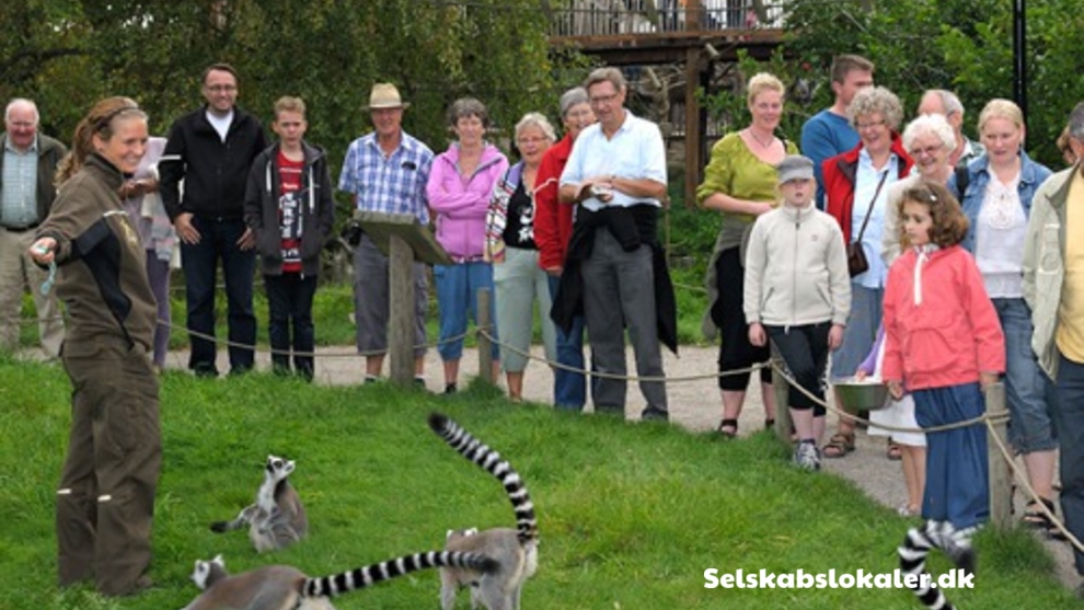 Stubbe Søvej 15, 8400 Ebeltoft
