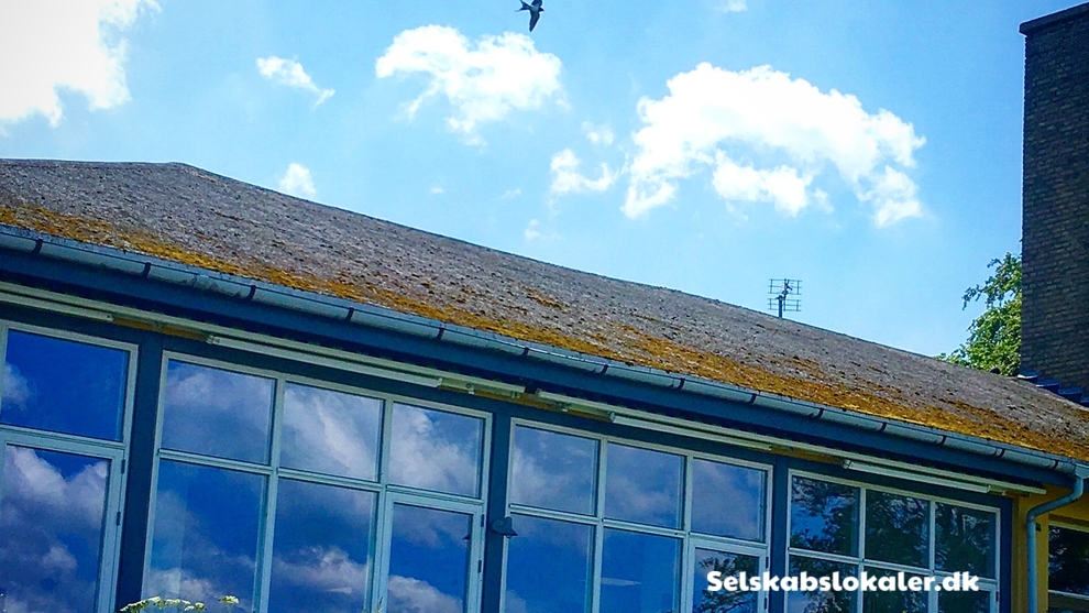 Hjejlevej 101, 5800 Nyborg