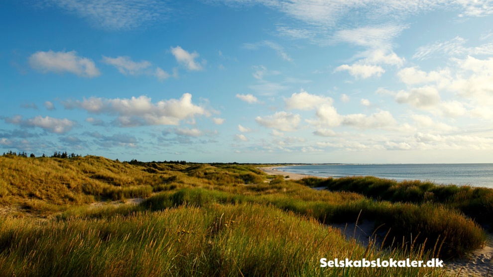 Skagensvej 42, 9982 Ålbæk