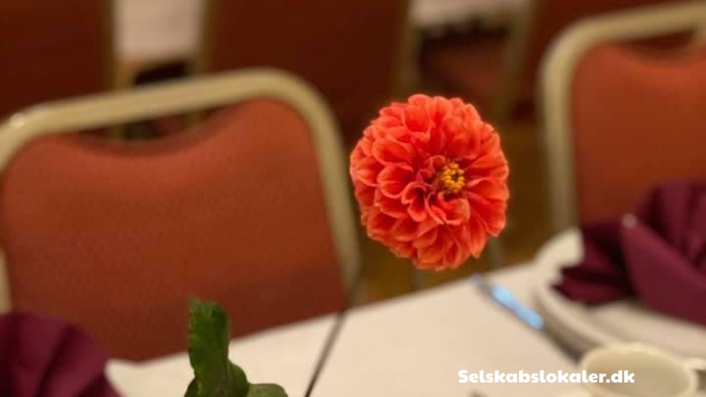 Hovedgaden 21, 4200 Slagelse