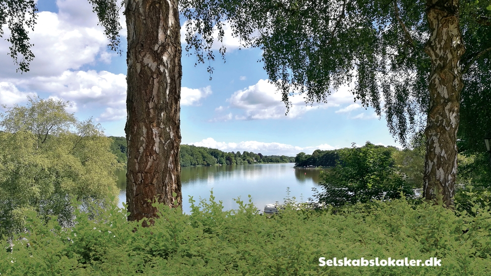 42 Skovalleen, 2880 Bagsværd