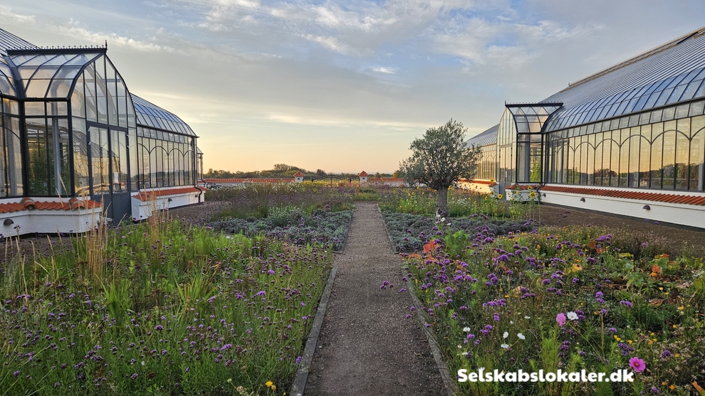 Vejrø 4, 4943 Torrig L