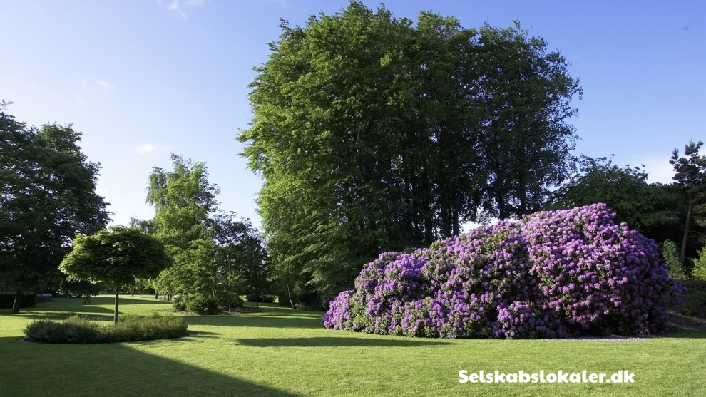 Rugårdsvej 590, 5210 Odense NV