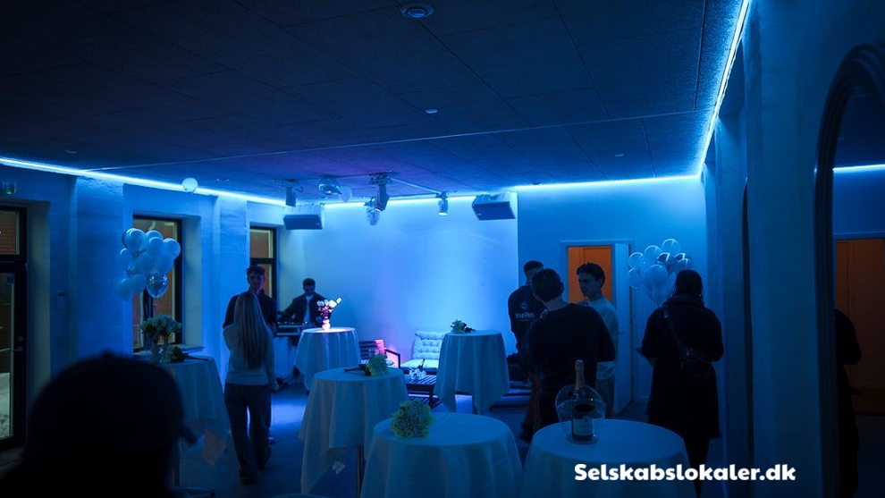 Skjulhøj Allé 10C København, 2720 København K