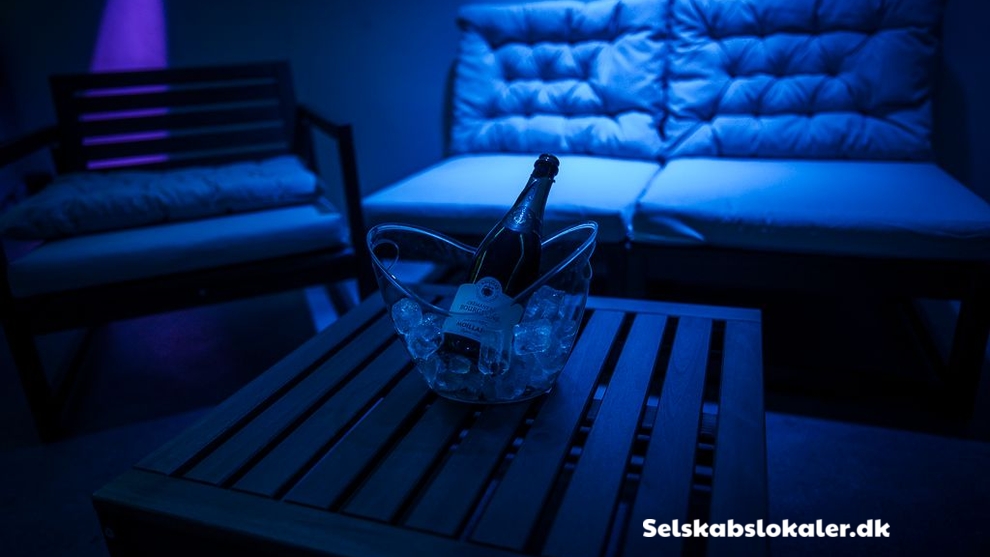 Skjulhøj Allé 10C København, 2720 København K