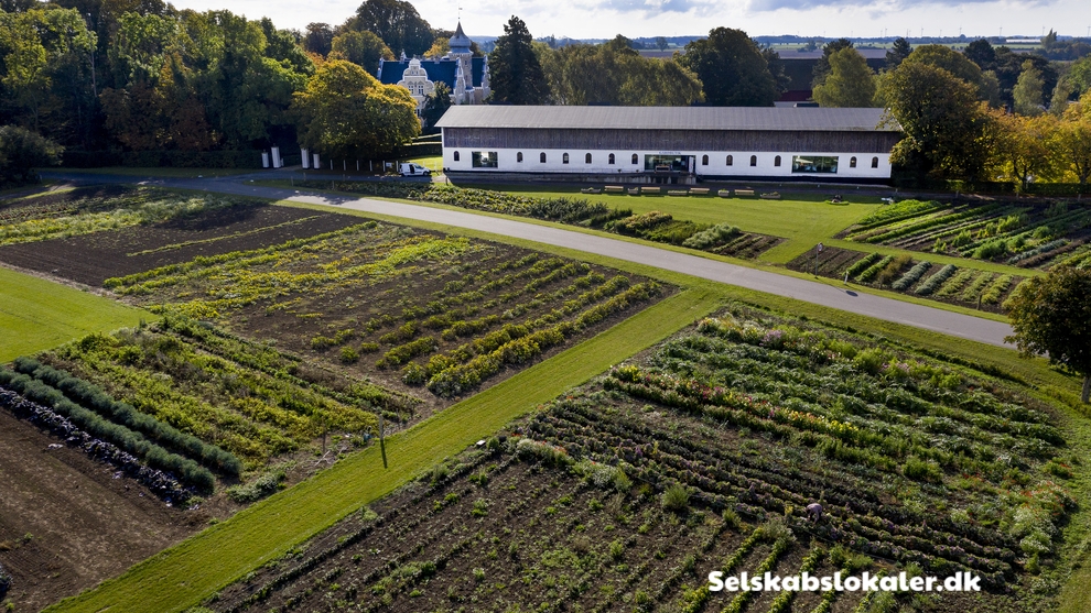 Søllestedgårdvej 4, 4920 Søllested