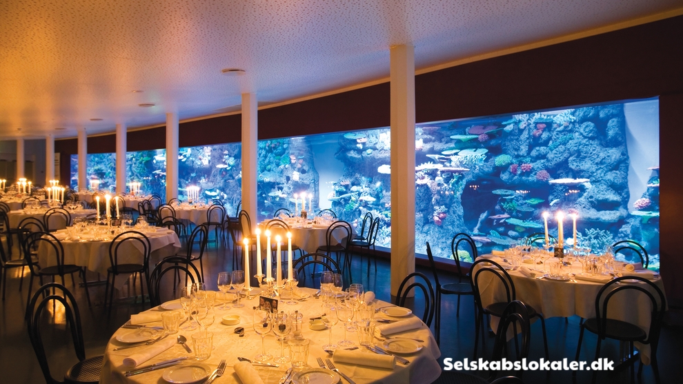 Vesterbrogade 3, 1630 København V