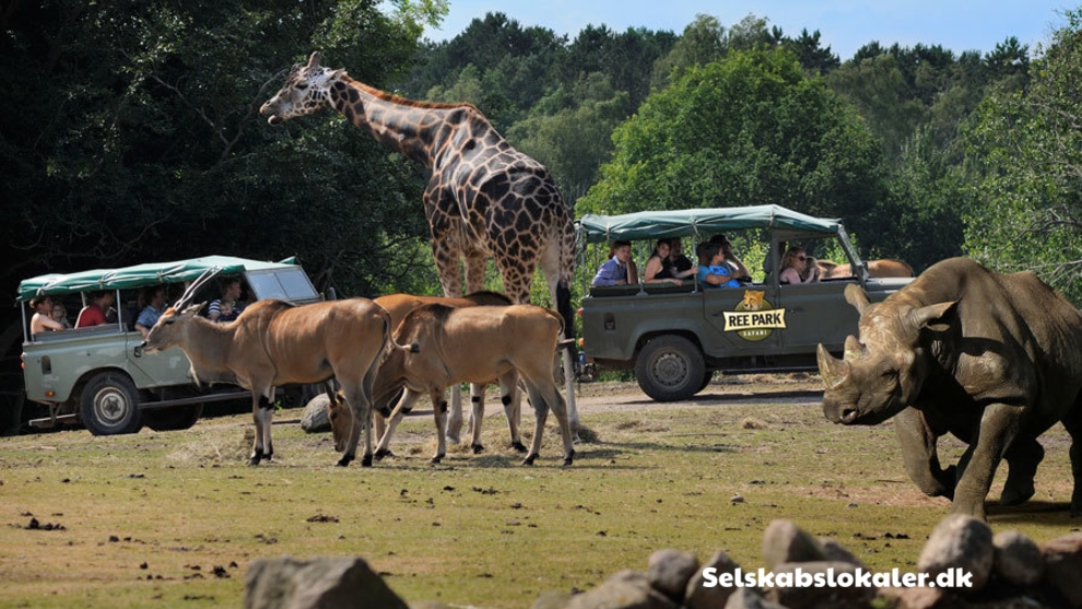 Stubbe Søvej 15, 8400 Ebeltoft
