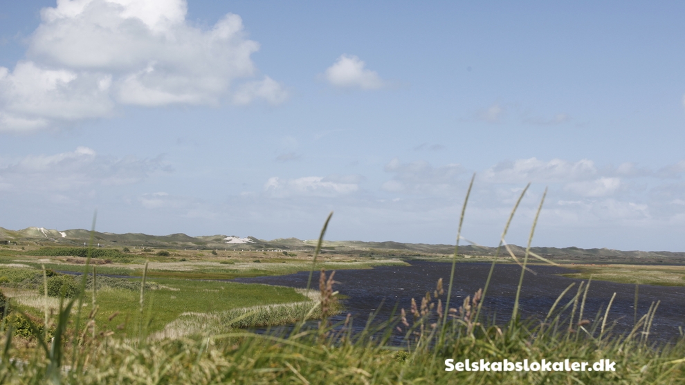 Vesterhavsvej 327, Nymindegab, 6830 Nørre Nebel