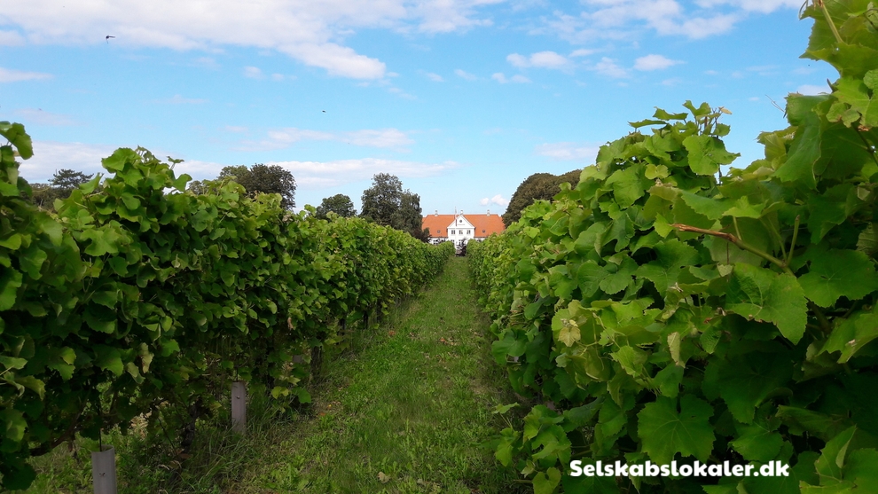 Røsnæsvej 254, 4400 Kalundborg