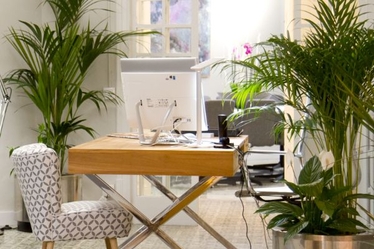 Locales de oficina en alquiler en Eixample