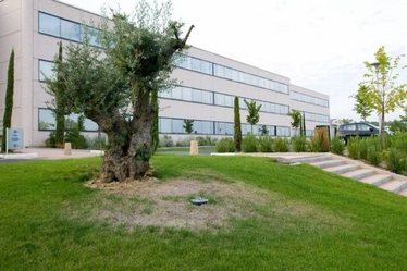 Locaux de bureaux à louer à Paris 9